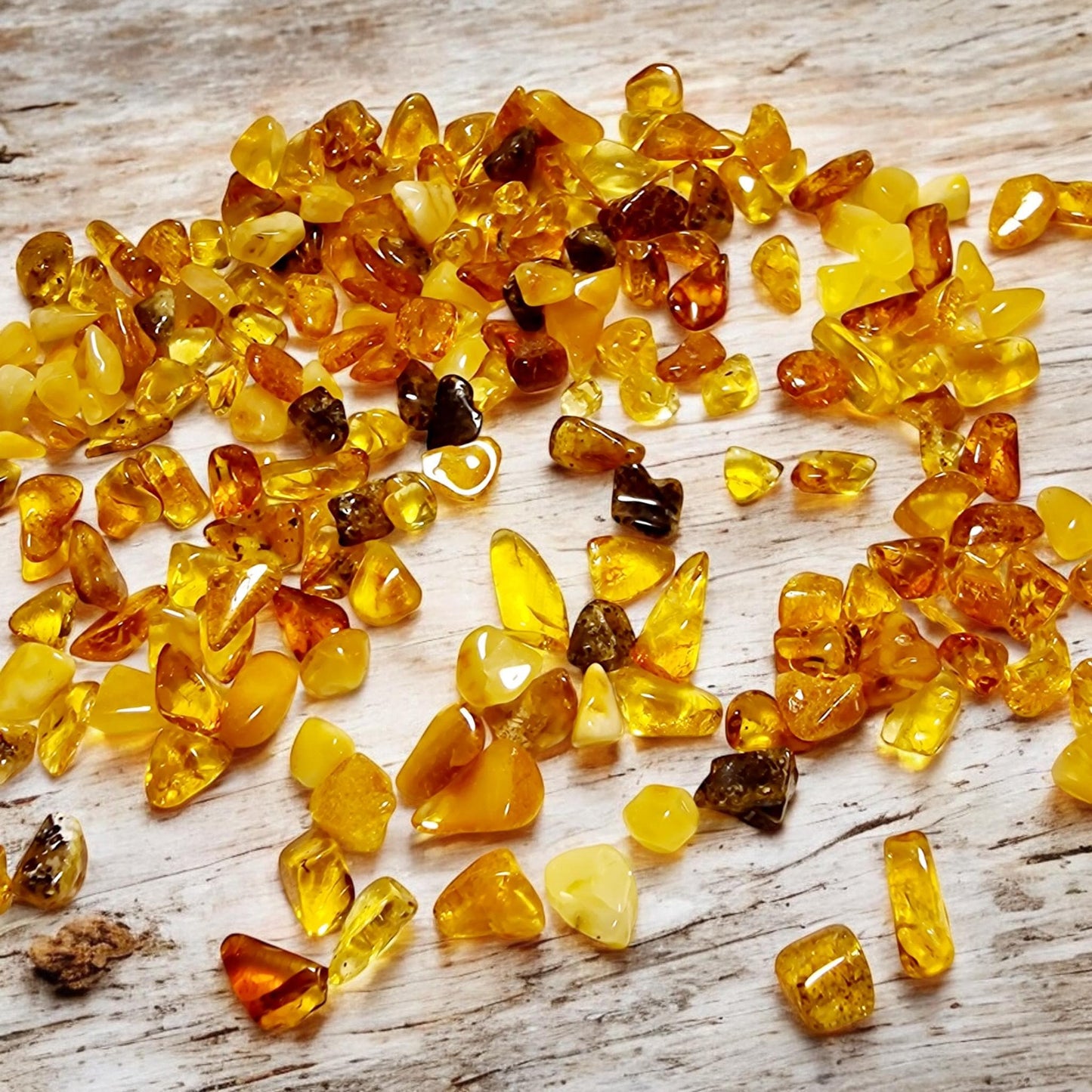 Natural Baltic Amber Beads: Mixed Color, Flat Shape (30 gram)