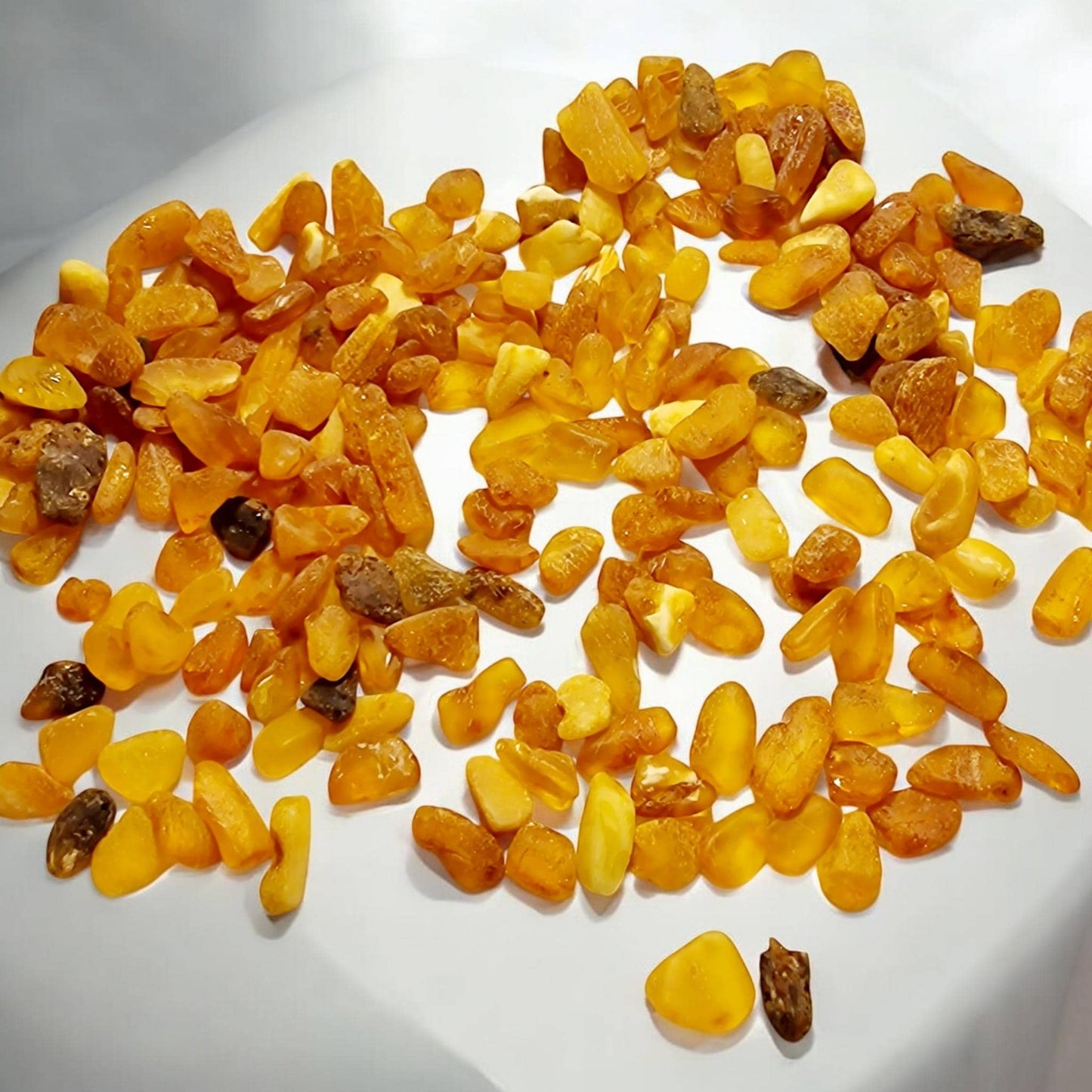 Raw Baltic Amber Beads: Flat Mix Color Gemstones (4-8mm, 30gr)
